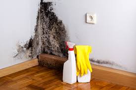 Best Emergency Mold Remediation  in Maiden, NC